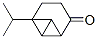 Tricyclo[4.1.0.02,7]heptan-3-one, 6-(1-methylethyl)- (9CI) CAS#: 110087-11-1
