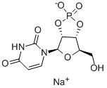URIDINE-2',3'-CYCLIC MONOPHOSPHATE SODIUM SALT CAS#: 15718-50-0