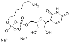 URIDINE-5'-DIPHOSPHOHEXANOLAMINE SODIUM CAS#: 108320-83-8