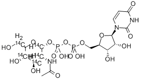 URIDINE DIPHOSPHATE N-ACETYL-D-GLUCOSAMINE, [GLUCOSAMINE-14C(U)] CAS#: 28508-02-3