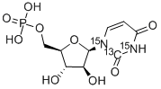Uracil Arabinonucleoside 5'-Phosphate CAS#: 18354-06-8