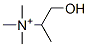 alpha-methylcholine CAS#: 21618-46-2