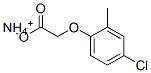 ammonium 4-chloro-2-methylphenoxyacetate CAS#: 19480-39-8