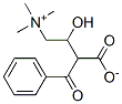 benzoylcarnitine CAS#: 105450-08-6