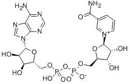 beta-Diphosphopyridine nucleotide CAS#: 53-84-9