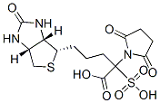 biotinyl-N-hydroxysulfosuccinimide ester CAS#: 105248-43-9