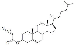cholesteryl diazoacetate CAS#: 106471-96-9
