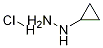 cyclopropylhydrazine hydrochloride CAS#: 213764-25-1