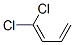 dichlorobuta-1,3-diene CAS#: 28577-62-0