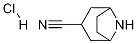exo-8-Azabicyclo[3.2.1]octane-3-carbonitrile hydrochloride CAS#: 216753-55-8