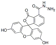 fluorescein hydrazide CAS#: 109653-47-6