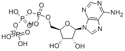 [gamma-32P]-ATP CAS#: 2964-07-0