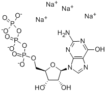 guanosine 5'-(tetrasodium triphosphate) CAS#: 14356-96-8
