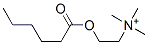 hexanoylcholine CAS#: 16639-00-2