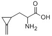 hypoglycin CAS#: 156-56-9