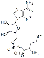 methioninyl adenylate CAS#: 13091-93-5