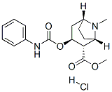 methyl (1S,2S,3S,5R)-8-methyl-3-(phenylcarbamoyloxy)-8-azabicyclo[3.2. 1]octane-2-carboxylate hydrochloride CAS#: 29364-13-4