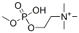 methyl phosphorylcholine CAS#: 2375-06-6
