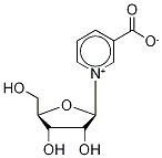 nicotinic acid ribonucleoside CAS#: 17720-18-2