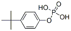 p-tert-butylphenyl dihydrogen phosphate CAS#: 13421-39-1