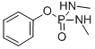 phenyl N,N'-dimethylphosphorodiamidate CAS#: 1754-58-1