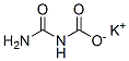 potassium carbamoylcarbamate CAS#: 26479-35-6