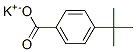 potassium p-tert-butylbenzoate CAS#: 16518-26-6