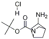 tert-Butyl 5-aMino-2-aza-bicyclo[2.2.1]heptane-2-carboxylate hydrochloride CAS#: 207405-66-1