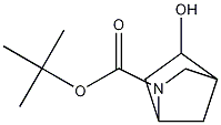 tert-butyl 5-hydroxy-2-azabicyclo[2.2.1]heptane-2-carboxylate CAS#: 207405-60-5
