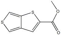 thieno[3,4-b]thiophene-2-carboxylic acid Methyl ester CAS#: 14630-09-2