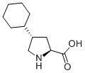 trans-4-Cyclohexyl-L-proline CAS#: 103201-78-1