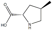trans-4-Methyl-L-proline CAS#: 23009-50-9
