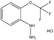 1-(2-(trifluoromethoxy)phenyl)hydrazine(HCl) CAS#: 133115-76-1