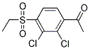 1-[2,3-DICHLORO-4-(ETHYLSULFONYL)PHENYL]-1-ETHANONE CAS#: 338982-46-0