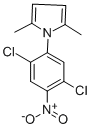 1-(2,5-DICHLORO-4-NITROPHENYL)-2,5-DIMETHYL-1H-PYRROLE CAS#: 302901-02-6