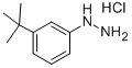 1-[3-(TERT-BUTYL)PHENYL]HYDRAZINE HYDROCHLORIDE CAS#: 306937-27-9