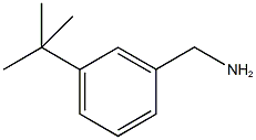 1-(3-tert-butylphenyl)methanamine CAS#: 140401-55-4