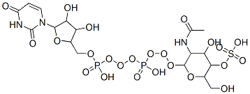 1-[5-[[[[3-acetamido-4-hydroxy-6-(hydroxymethyl)-5-sulfooxy-oxan-2-yl]oxy-hydroxy-phosphoryl]oxy-hydroxy-phosphoryl]oxymethyl]-3,4-dihydroxy-oxolan-2-yl]-2,4-dioxo-pyrimidine CAS#: 3863-56-7