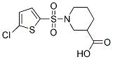 1-[(5-CHLOROTHIEN-2-YL)SULFONYL]PIPERIDINE-3-CARBOXYLIC ACID CAS#: 384847-77-2