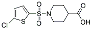 1-[(5-CHLOROTHIEN-2-YL)SULFONYL]PIPERIDINE-4-CARBOXYLIC ACID CAS#: 384847-76-1