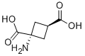 1-AMINOCYCLOBUTANE-CIS-1,3-DICARBOXYLIC ACID CAS#: 117488-23-0