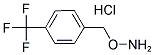 1-[(AMMONIOOXY)METHYL]-4-(TRIFLUOROMETHYL)BENZENE CHLORIDE CAS#: 321574-29-2