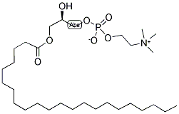 1-BEHENOYL-2-HYDROXY-SN-GLYCERO-3-PHOSPHOCHOLINE CAS#: 125146-65-8
