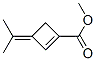 1-Cyclobutene-1-carboxylicacid,3-(1-methylethylidene)-,methylester(9CI) CAS#: 122444-78-4