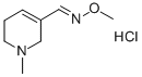 1-METHYL-1,2,5,6-TETRAHYDROPYRIDINE-3-CARBALDEHYDE (E)-O-METHYLOXIME HYDROCHLORIDE CAS#: 139886-04-7
