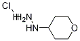1-(TETRAHYDRO-2H-PYRAN-4-YL)HYDRAZINE HYDROCHLORIDE CAS#: 116312-69-7