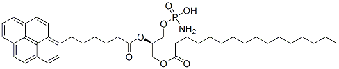 1-palmitoyl-2-(6-(pyren-1-yl)hexanoyl)-sn-glycero-3-phosphatidic acid CAS#: 121496-64-8
