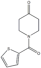 1-(thien-2-ylcarbonyl)piperidin-4-one CAS#: 141945-71-3