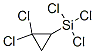 1,1-Dichloro-2-(trichlorosilyl)cyclopropane CAS#: 3667-03-6
