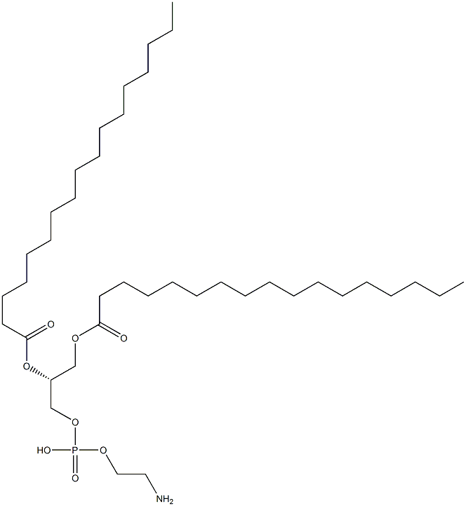 1,2-diheptadecanoyl-sn-glycero-3-phosphoethanolaMine CAS#: 140219-78-9